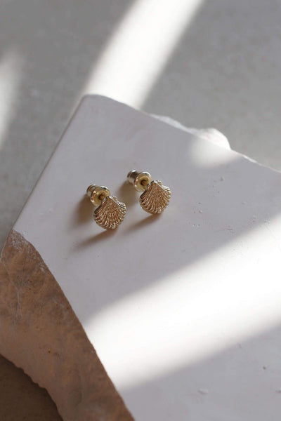 Tutti & Co Shell Earrings in Gold