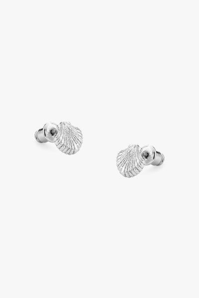 Tutti & Co Shell Earrings In Silver
