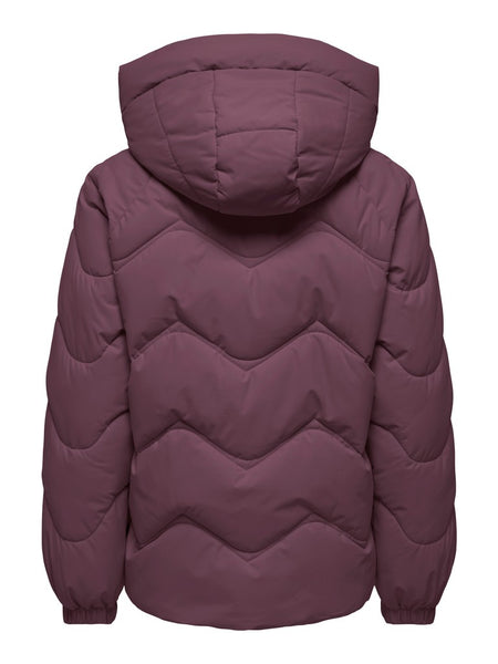 JDY Short Puffer Jacket with Hood in Burgundy