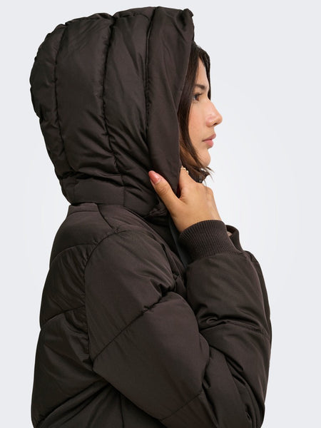 JDY Long Padded Jacket with Hood in Chocolate