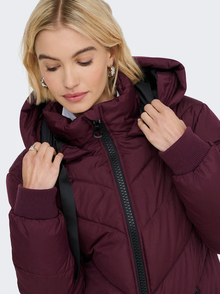 JDY Padded Jacket With Hood in Burgundy
