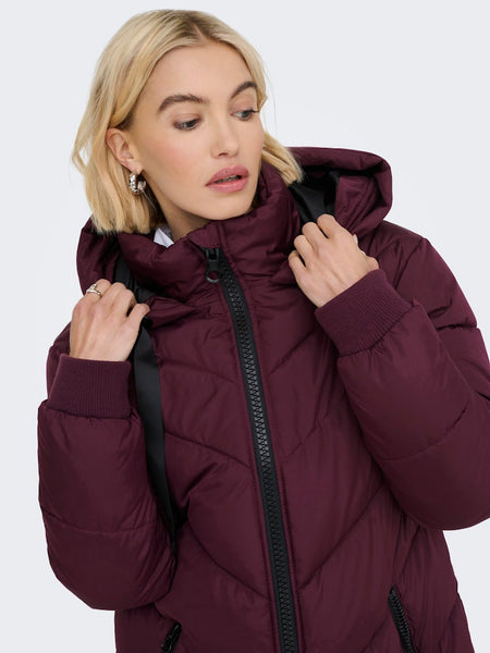 JDY Padded Jacket With Hood in Burgundy
