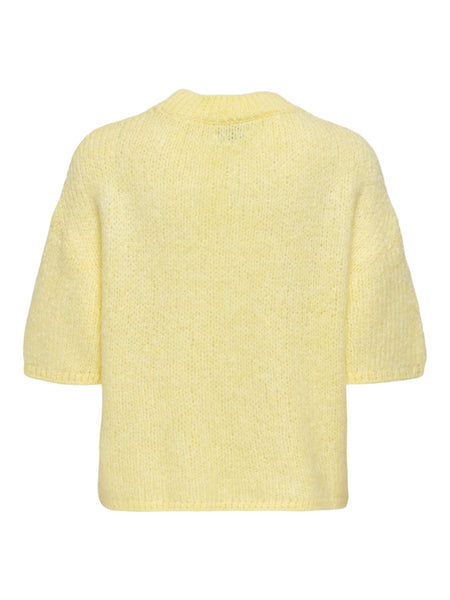 JDY Short Sleeve Knit Top in Yellow