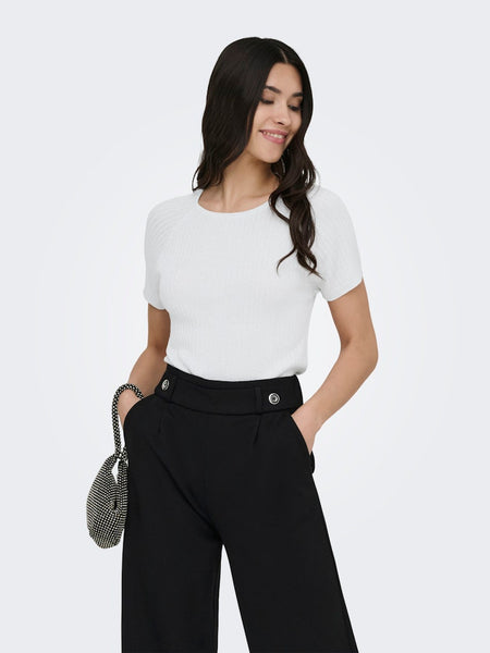 JDY Short Sleeve Ribbed Glitter Knit Top in Silver
