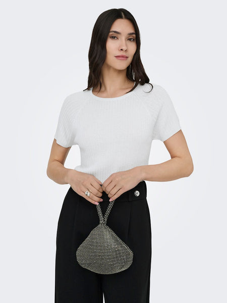 JDY Short Sleeve Ribbed Glitter Knit Top in Silver