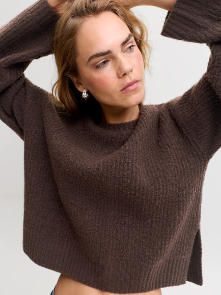 JJXX Crew Neck Knit Jumper in Brown