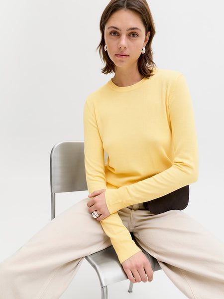 JJXX Long Sleeve Crew Neck Top in Yellow