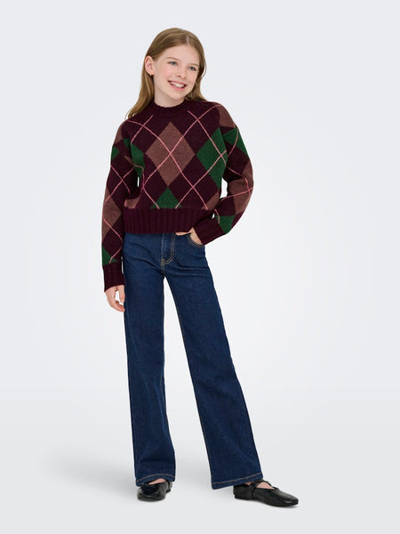 KIDS ONLY Patterned Argyle Jumper in Burgundy