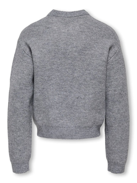 KIDS ONLY Dachshund Print Knit Jumper in Grey