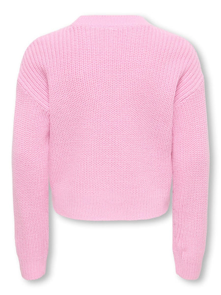 KIDS ONLY Embroidered Detail Knit Jumper in Pink