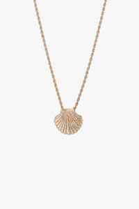 Tutti & Co Shell Necklace In Gold