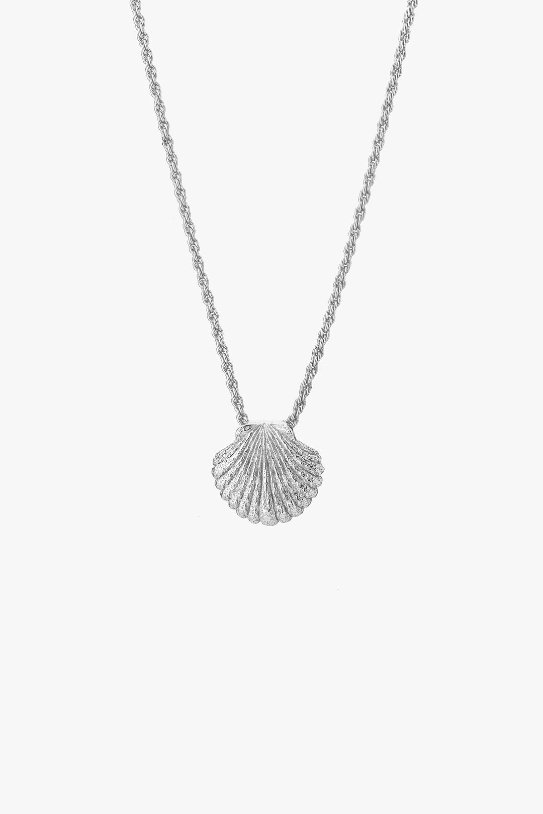 Tutti & Co Shell Necklace In Silver