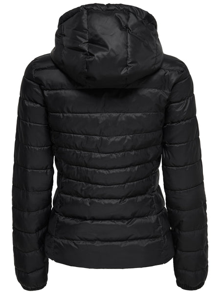 Only Hooded Short Padded Jacket in Black